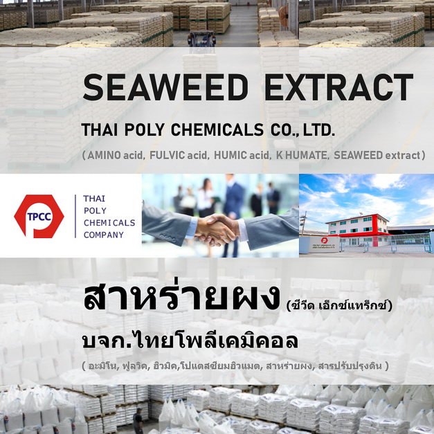 สาหร่ายผง, Seaweed extract, สาหร่ายสกัด, Seaweed powder, ปุ๋ยสาหร่าย